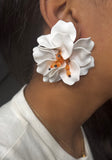 TROPICAL FLOWERS
